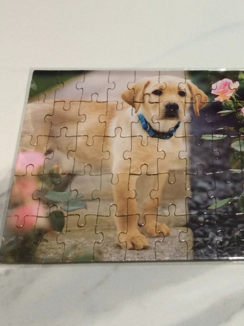 Guiding Eyes for the Blind Puzzle + FREE Gift